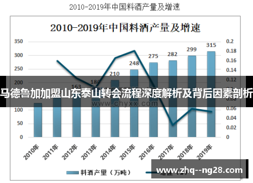 马德鲁加加盟山东泰山转会流程深度解析及背后因素剖析