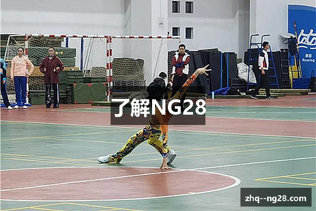 了解NG28